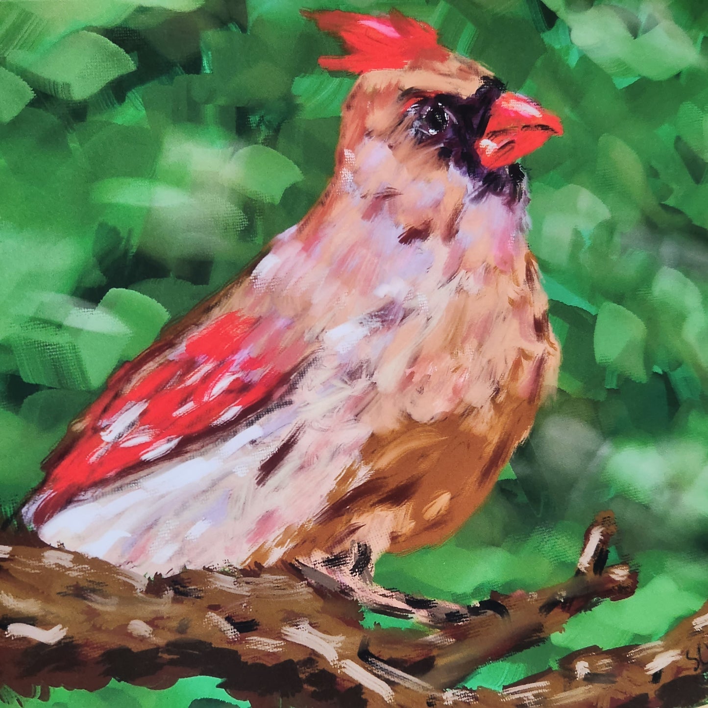 Female Northern Cardinal Oil Painting Abstract Impressionist Style Giclee Fine Art Print 6"x9"
