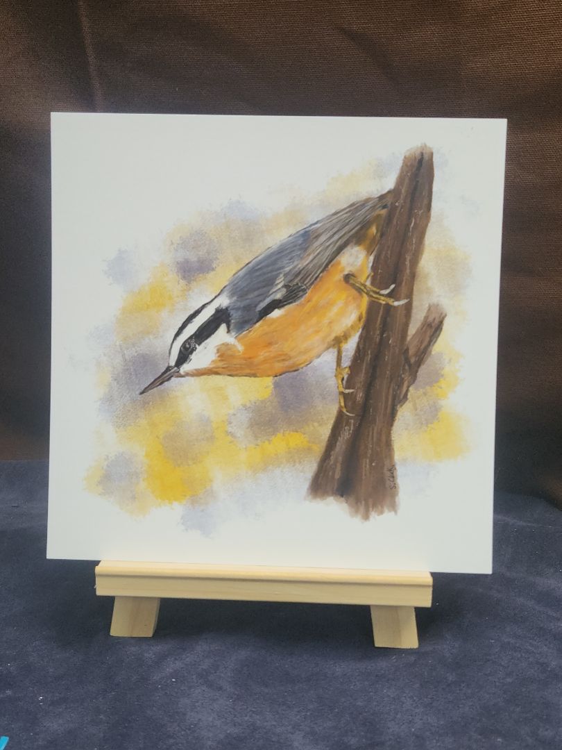 Red Breasted Nuthatch Bird Painting Giclee Fine Art Print 8"x8" Nature Birding Decor