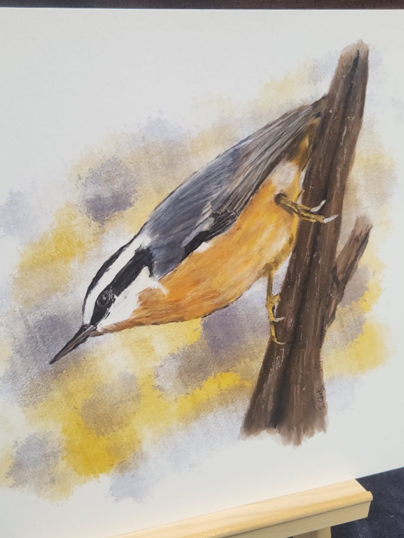 Red Breasted Nuthatch Bird Painting Giclee Fine Art Print 8"x8" Nature Birding Decor