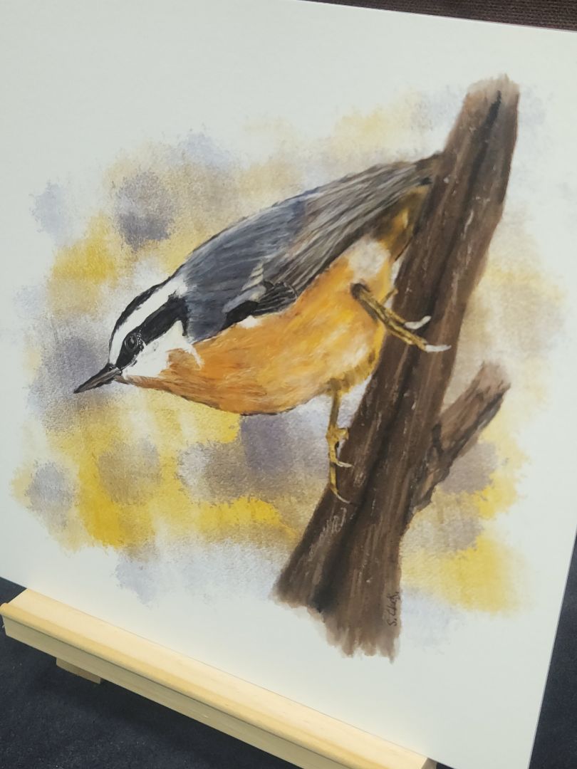 Red Breasted Nuthatch Bird Painting Giclee Fine Art Print 8"x8" Nature Birding Decor