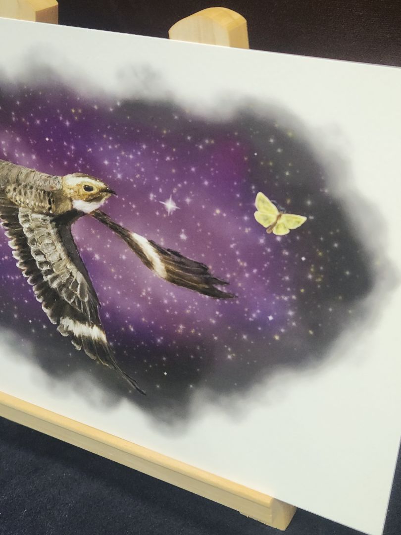 Common Nighthawk Bird Oil Painting Style Giclee Fine Art Print 6"x9" Nature Birding Decor