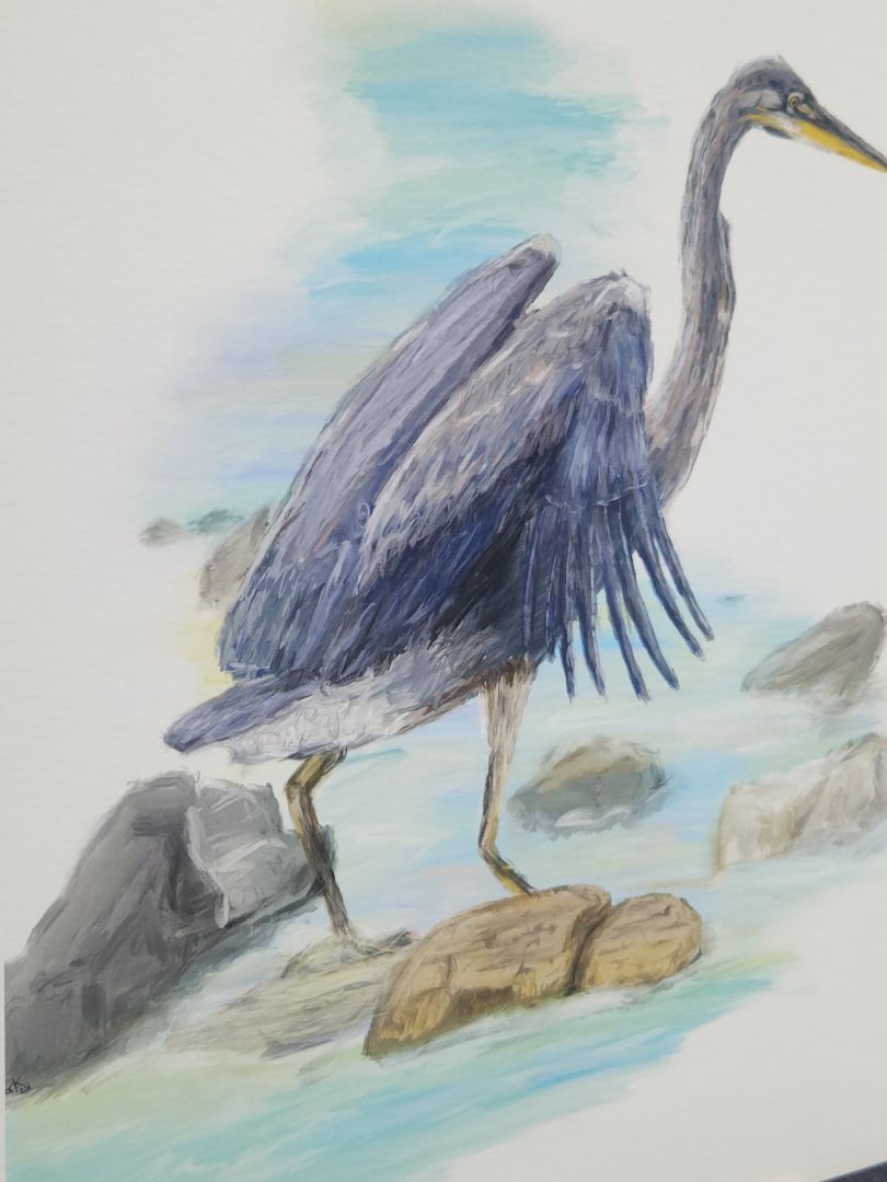 Great Blue Heron Bird Oil Painting Style Giclee Fine Art Print 8"x10" Nature Birding Decor